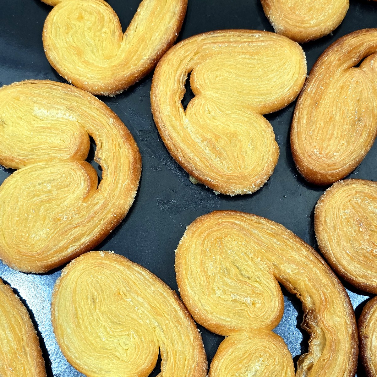 Palmeras
